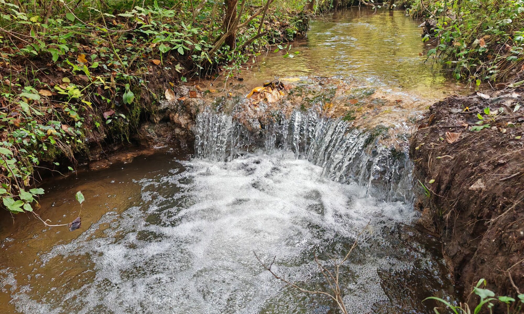 cascade hypnose lyon-est ludovic bottazzi